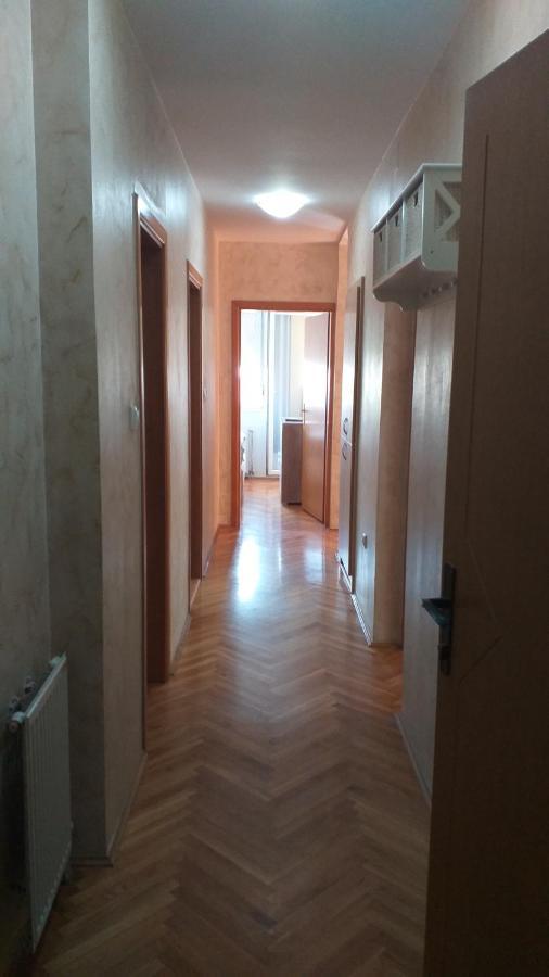 Apartman Anja Novi Sad Esterno foto