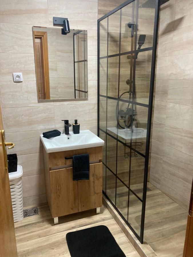 Apartman Anja Novi Sad Esterno foto